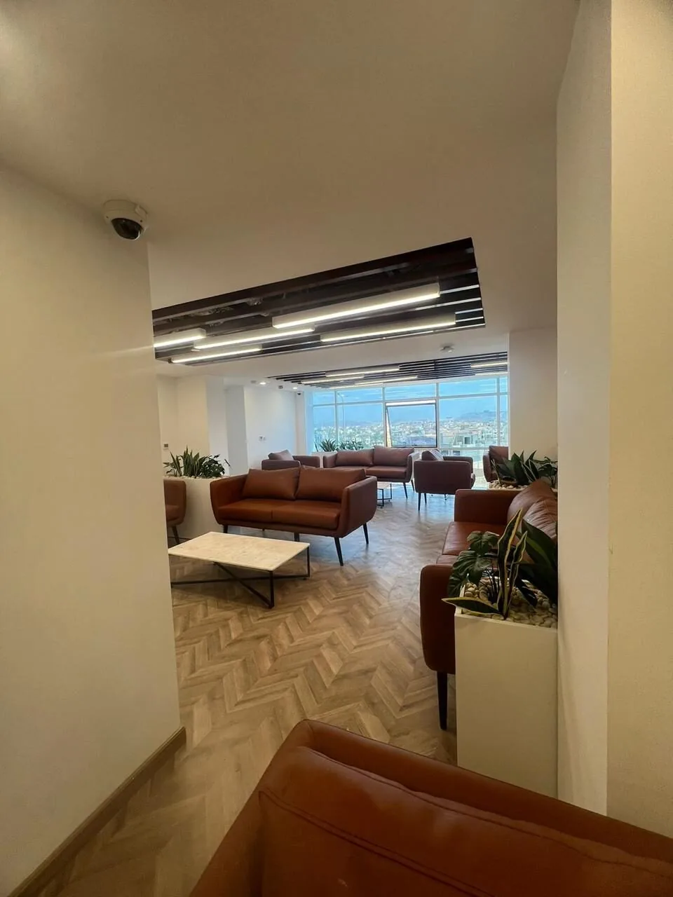 VFS Tasheel — Zayed — image 8